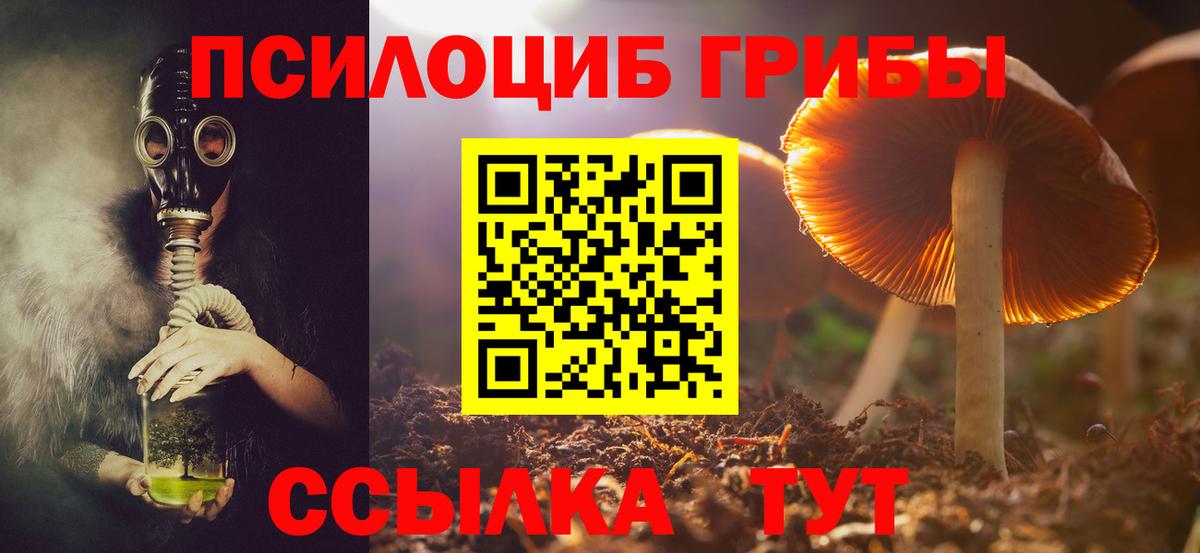 Галлюциногенные грибы мухоморы Зерноград