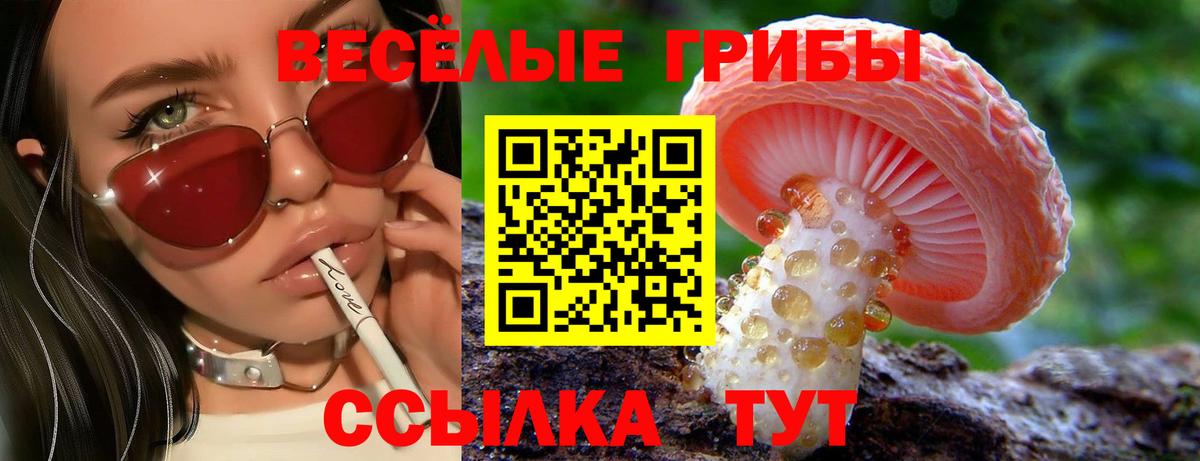закладка  Псилоцибиновые грибы ЛСД  Вход с VPN  Зерноград 